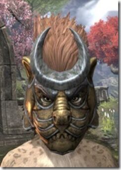 Khajiit-Helm-3-Khajiit-Female-Front_thumb.jpg