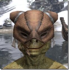 Khajiit-Helmet-1-Argonian-Male-Front_thumb.jpg