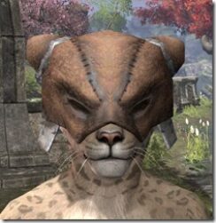 Khajiit-Helmet-1-Khajiit-Female-Front_thumb.jpg