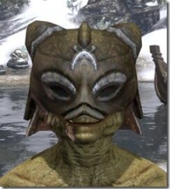 Khajiit-Helmet-2-Argonian-Male-Front_thumb.jpg