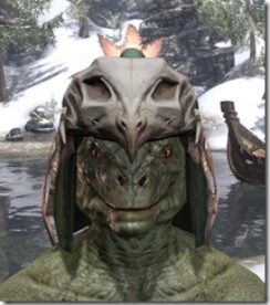 Mazzatun-Homespun-Hat-Argonian-Male-Front_thumb.jpg