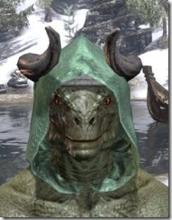 Minotaur-Homespun-Hat-Argonian-Male-Front_thumb.jpg