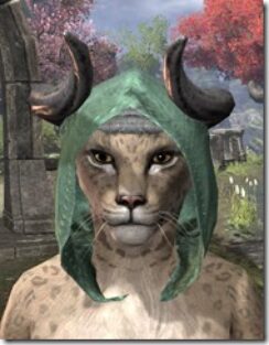 Minotaur-Homespun-Hat-Khajiit-Female-Front_thumb.jpg