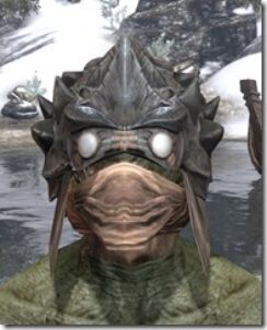 Morag-Tong-Rawhide-Helmet-Argonian-Male-Front_thumb.jpg