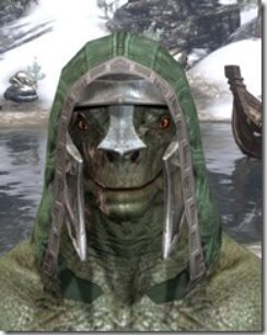 Order-of-the-Hour-Homespun-Hat-Argonian-Male-Front_thumb.jpg