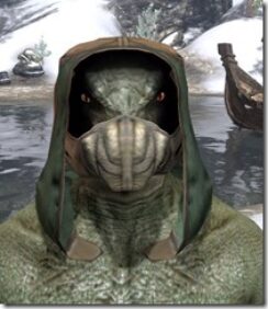 Outlaw-Homespun-Hat-Argonian-Male-Front_thumb.jpg