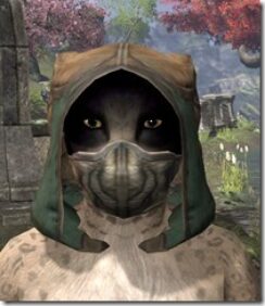 Outlaw-Homespun-Hat-Khajiit-Female-Front_thumb.jpg