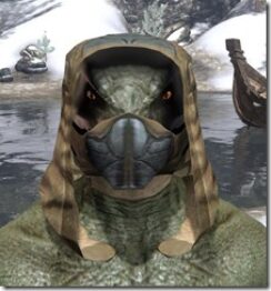 Outlaw-Iron-Helm-Argonian-Male-Front_thumb.jpg