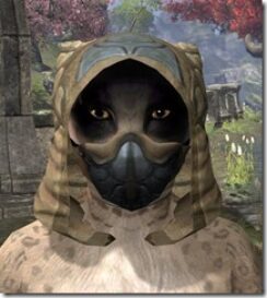 Outlaw-Iron-Helm-Khajiit-Female-Front_thumb.jpg