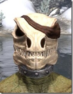 Pirate-Skeleton-Visage-Argonian-Male-Front_thumb.jpg