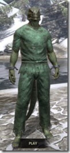 Prisoner-Style-1-Argonian-Male-Front_thumb.jpg