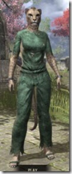 Prisoner-Style-1-Khajiit-Female-Front_thumb.jpg