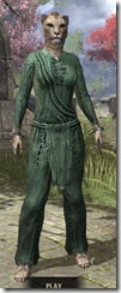 Prisoner-Style-2-Khajiit-Female-Front_thumb.jpg