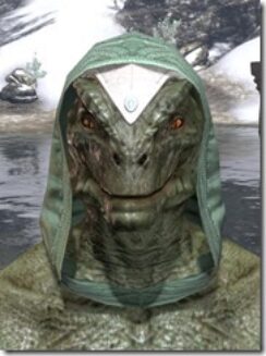 Psijic-Order-Homespun-Hat-Argonian-Male-Front_thumb.jpg
