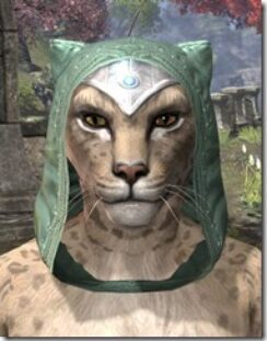 Psijic-Order-Homespun-Hat-Khajiit-Female-Front_thumb.jpg