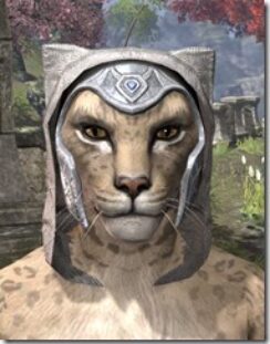 Psijic-Order-Iron-Helm-Khajiit-Female-Front_thumb.jpg