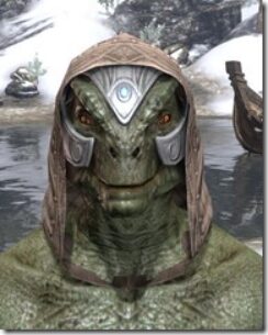 Psijic-Order-Rawhide-Helmet-Argonian-Male-Front_thumb.jpg