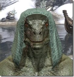 Pyandonean-Homespun-Hat-Argonian-Male-Front_thumb.jpg