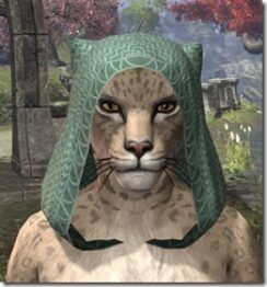 Pyandonean-Homespun-Hat-Khajiit-Female-Front_thumb.jpg