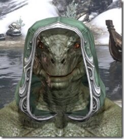 Sapiarch-Homespun-Hat-Argonian-Male-Front_thumb.jpg