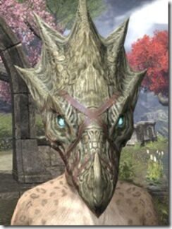 Shadowrend-Helm-Khajiit-Female-Front_thumb.jpg