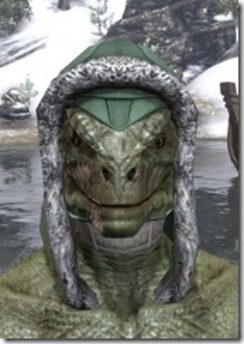 Silver-Dawn-Homespun-Hat-Argonian-Male-Front_thumb.jpg