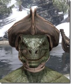 Silver-Dawn-Rawhide-Helmet-Argonian-Male-Front_thumb.jpg