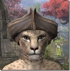 Silver-Dawn-Rawhide-Helmet-Khajiit-Female-Front_thumb.jpg