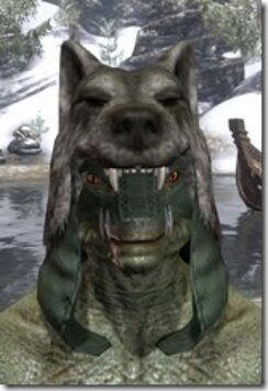 Skinchanger-Homespun-Hat-Argonian-Male-Front_thumb.jpg