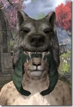 Skinchanger-Homespun-Hat-Khajiit-Female-Front_thumb.jpg