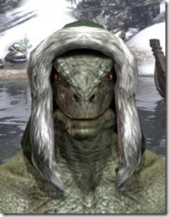 Stahlrim-Frostcaster-Homespun-Hat-Argonian-Male-Front_thumb.jpg