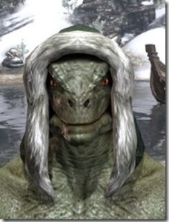 Stahlrim-Frostcaster-Rawhide-Helmet-Argonian-Male-Front_thumb.jpg