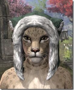 Stahlrim-Frostcaster-Rawhide-Helmet-Khajiit-Female-Front_thumb.jpg