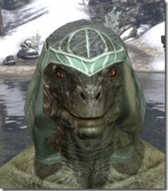 Trinimac-Homespun-Hat-Argonian-Male-Front_thumb.jpg