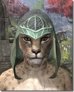 Trinimac-Homespun-Hat-Khajiit-Female-Front_thumb.jpg