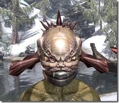 Velidreth-Visage-Argonian-Male-Front_thumb.jpg