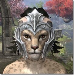 Welkynar-Homespun-Hat-Khajiit-Female-Front_thumb.jpg