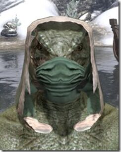 Xivkyn-Homespun-Hat-Argonian-Male-Front_thumb.jpg
