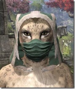 Xivkyn-Homespun-Hat-Khajiit-Female-Front_thumb.jpg