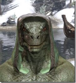 Ancient-Elf-Homespun-Hat-Argonian-Male-Front_thumb.jpg