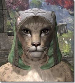 Ancient-Elf-Homespun-Hat-Khajiit-Female-Front_thumb.jpg