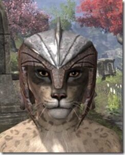 Ancient-Elf-Rawhide-Helmet-Khajiit-Female-Front_thumb.jpg