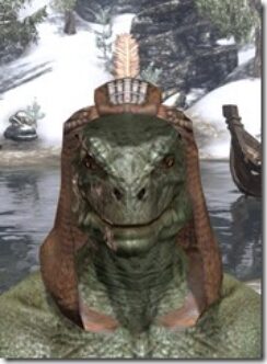 Argonian-Hat-1-Argonian-Male-Front_thumb.jpg