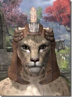 Argonian-Hat-1-Khajiit-Female-Front_thumb.jpg