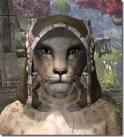 Argonian-Hat-2-Khajiit-Female-Front_thumb.jpg