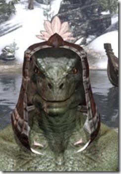 Argonian-Hat-3-Argonian-Male-Front_thumb.jpg