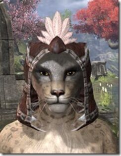 Argonian-Hat-3-Khajiit-Female-Front_thumb.jpg