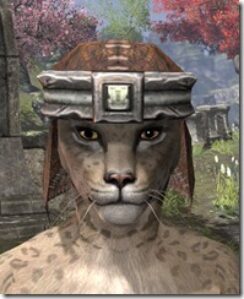 Argonian-Helm-1-Khajiit-Female-Front_thumb.jpg