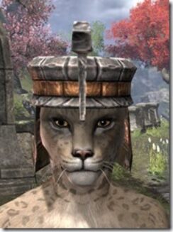 Argonian-Helm-2-Khajiit-Female-Front_thumb.jpg
