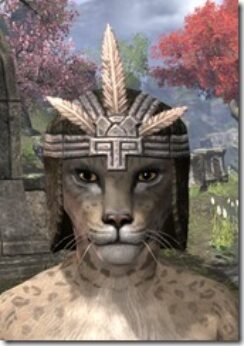 Argonian-Helmet-2-Khajiit-Female-Front_thumb.jpg